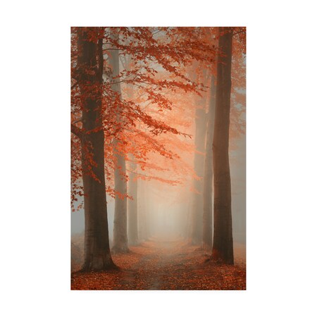 Trademark Fine Art Saskia Dingemans 'Autumn Dream' Canvas Art, 30x47 1X10225-C3047GG